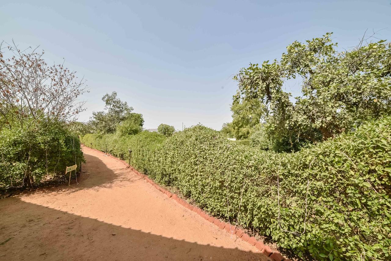 Pushkar Rajwara Resort Luaran gambar